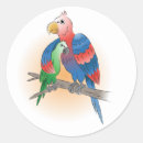 Recherche de dessin perroquet autocollants Perroquets
