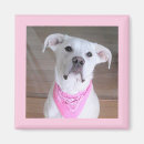 Recherche de pâques mignonne magnets Pour elle
