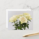 Suche nach schöne weiße rose postkarten Botanisch