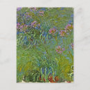 Recherche de agapanthus cartes postales Impressionnisme