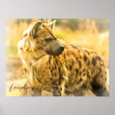 Suche nach hyäne poster Hyena