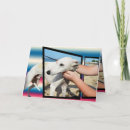 Suche nach niedlicher windhund karten Tier