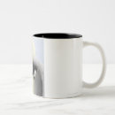 Recherche de pingouin tasses Dehors