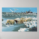 Suche nach interaktion poster Bär