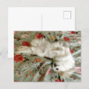 Recherche de pantoufle cartes postales Dog