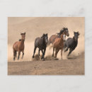 Recherche de bousculade posters Animaux