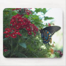 Suche nach schmetterlinge mousepads Rot