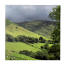 Suche nach wales fliesen Wald