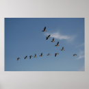 Recherche de greenery posters Frame