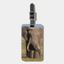 Suche nach sucht Safari