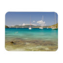 Recherche de plongeurs magnets Jour