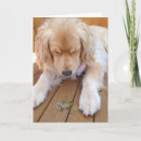 Recherche de funny frog vœux cartes Humor