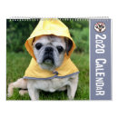 Suche nach terrier kalender Niedlicher hund