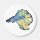 Recherche de aquarium magnets Aquarelle