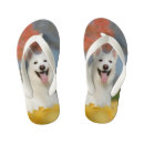 Suche nach die schweiz schuhe Niedlich