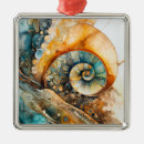 Recherche de fossiles ornements Ammonite