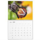 Recherche de mite photographie Insectes