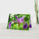 Suche nach wilde iris Natur