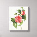 Suche nach kamelien leinwandbilder Gärten