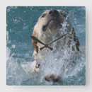 Suche nach labrador retriever wanduhren Lustig