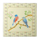 Recherche de femelle carreaux Oiseaux