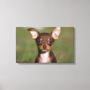 Suche nach sprachen leinwandbilder 6 wochen