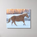 Recherche de caché impressions sur toile Cheval