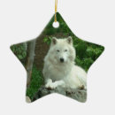 Recherche de loups blancs ornements Chien