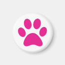 Recherche de compagnie magnets Chien