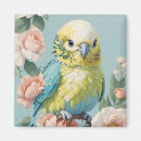 Suche nach niedlicher papagei magnete Vogelvogel