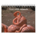 Suche nach tier kalender Leopard