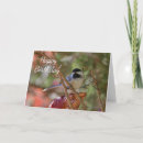 Recherche de black forest cartes postales Nature