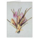 Recherche de safran cartes postales Fleur