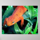Suche nach raindrop poster Fotografie