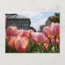 Recherche de extrémité cartes postales Ville