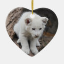 Suche nach löwe der löwe ornamente Löwen