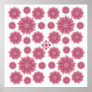 Recherche de asters posters Rose