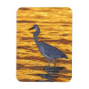 Recherche de la floride magnets Usa