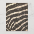 Suche nach zebra streifen postkarten Fell
