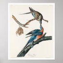Recherche de passager posters Oiseau