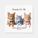 Recherche de chat mariages Dog