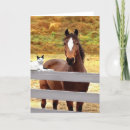 Recherche de chat et cheval vœux cartes Pour tous