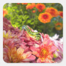 Suche nach raupen aufkleber Blume