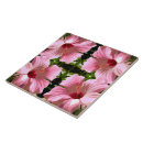 Suche nach hibiskus fliesen Hibisken blume