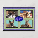 Suche nach französische bulldoggen postkarten Frenchie