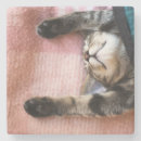 Suche nach babytier untersetzer Schlafen