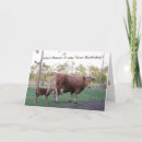 Suche nach kuh geburtstag karten Geburtskarte der kuh
