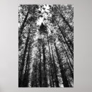 Suche nach minden poster Fotografie