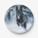 Suche nach hundeliebhaber teller Wolf