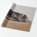 Suche nach kitschig geschenkpapier Niedliche katzen